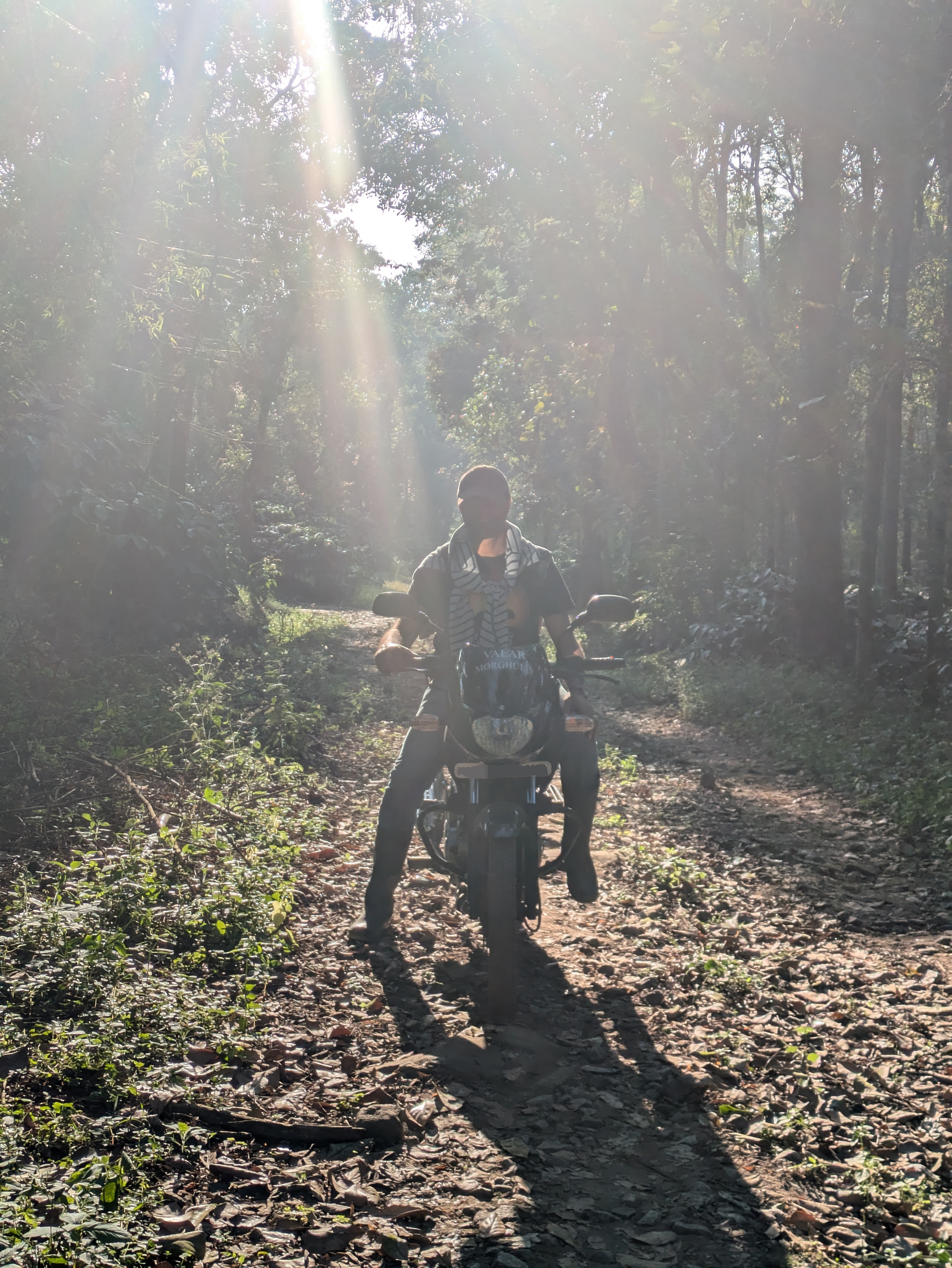 Motorbike rides through coffee plantations